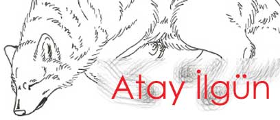 Atay Ilgun (Wounded Wolf)